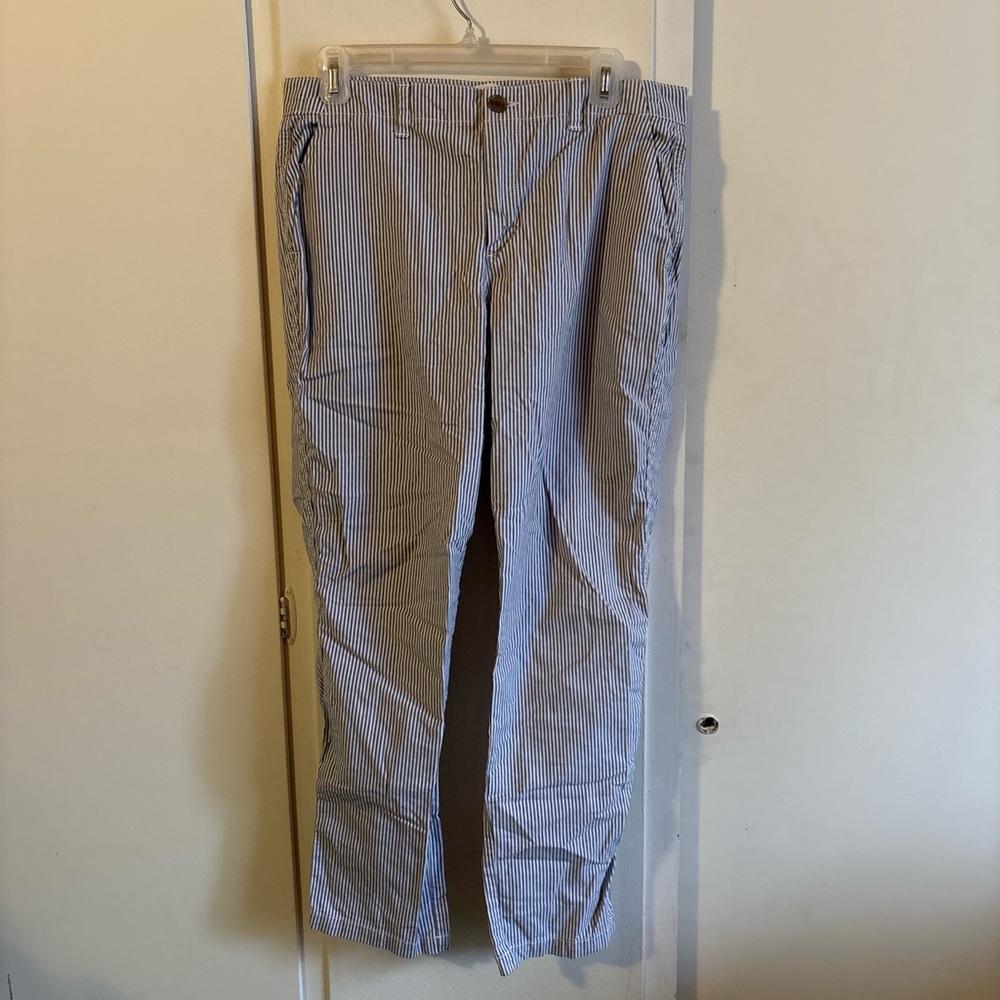 GAP women’s Light Blue Striped Chinos